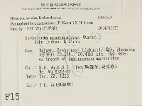 登錄號:F0001569藏品圖，第2張