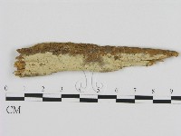 登錄號:F0001569藏品圖，第1張
