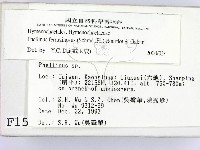 登錄號:F0001570藏品圖，第2張