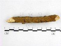 登錄號:F0001570藏品圖，第1張