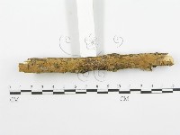 登錄號:F0001570藏品圖，第4張