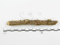 登錄號:F0001570藏品圖，第6張