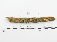登錄號:F0001570藏品圖，第7張