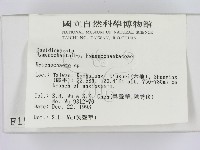 刺革菌屬藏品圖，第2張