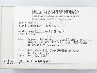 登錄號:F0001575藏品圖，第2張