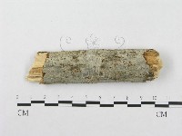 登錄號:F0001575藏品圖，第1張
