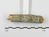 登錄號:F0001575藏品圖，第3張