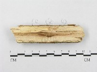 登錄號:F0001575藏品圖，第4張
