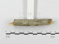 登錄號:F0001575藏品圖，第5張