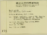 登錄號:F0001576藏品圖，第2張