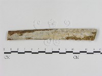 登錄號:F0001576藏品圖，第1張