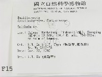登錄號:F0001578藏品圖，第2張