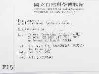 登錄號:F0001579藏品圖，第2張