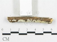 登錄號:F0001579藏品圖，第4張