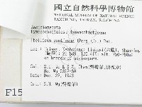 登錄號:F0001580藏品圖，第3張