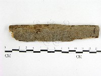 登錄號:F0001580藏品圖，第1張