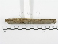 登錄號:F0001580藏品圖，第4張