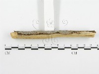 登錄號:F0001580藏品圖，第5張