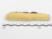 登錄號:F0001580藏品圖，第6張