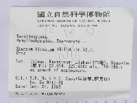 登錄號:F0001581藏品圖，第2張
