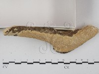 登錄號:F0001583藏品圖，第3張