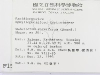 登錄號:F0001584藏品圖，第2張