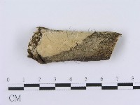 登錄號:F0001584藏品圖，第1張