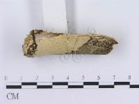 登錄號:F0001584藏品圖，第3張