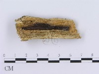 登錄號:F0001584藏品圖，第4張