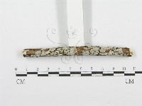 登錄號:F0001585藏品圖，第4張