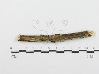 登錄號:F0001585藏品圖，第5張