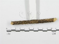 登錄號:F0001585藏品圖，第6張