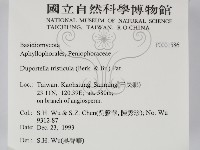 登錄號:F0001586藏品圖，第2張