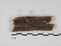 登錄號:F0001586藏品圖，第1張