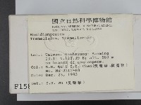 登錄號:F0001587藏品圖，第2張