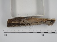 登錄號:F0001587藏品圖，第3張