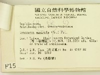 登錄號:F0001588藏品圖，第3張