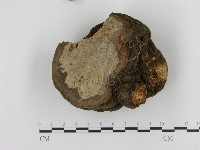 登錄號:F0001588藏品圖，第4張