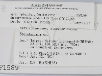 登錄號:F0001589藏品圖，第2張