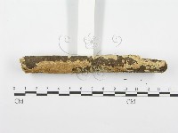 登錄號:F0001589藏品圖，第4張