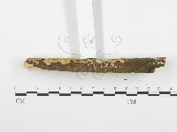 登錄號:F0001589藏品圖，第5張