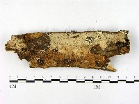 登錄號:F0001591藏品圖，第3張