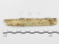 登錄號:F0001592藏品圖，第1張