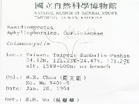 登錄號:F0001594藏品圖，第2張