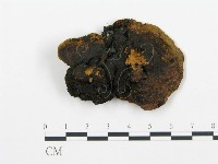 登錄號:F0001594藏品圖，第3張