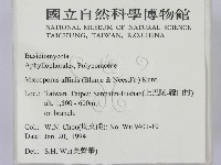 相鄰小孔菌藏品圖，第2張