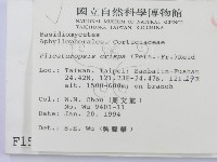 登錄號:F0001596藏品圖，第2張