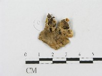 登錄號:F0001596藏品圖，第3張