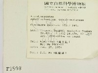 登錄號:F0001598藏品圖，第2張