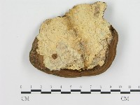 登錄號:F0001598藏品圖，第3張